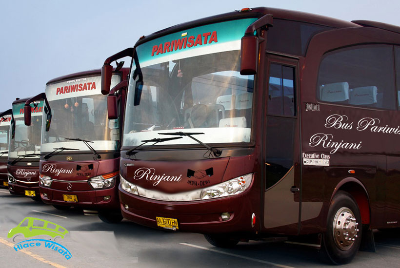 bus pariwisata rinjani
