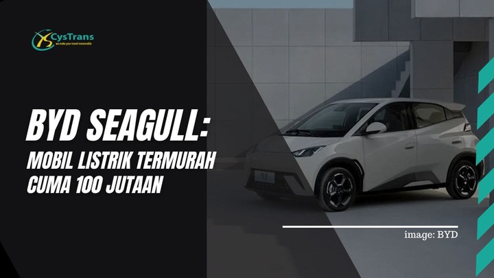 BYD Seagull