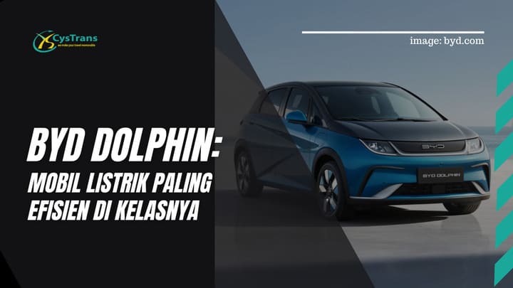 BYD Dolphin
