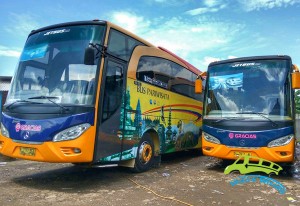 bus-pariwisata-gracias-47-seat1