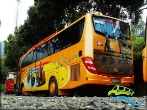 bus-pariwisata-gracias-59-seat1