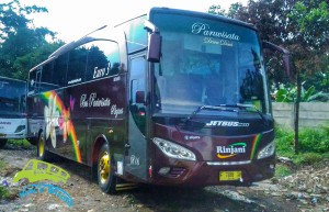 bus-pariwisata-rinjani-55-seat1 (1)